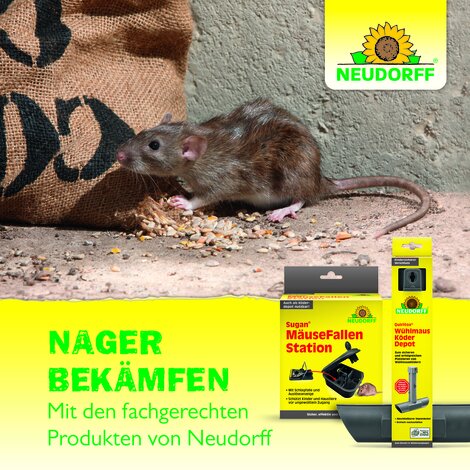 Sugan RattenKöder Pad Sprechende Bilder Bild 7