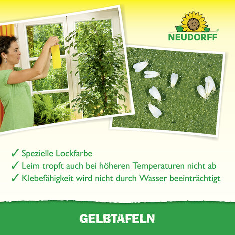 Gelbtafeln (kleinformatig) Sprechende Bilder Bild 5