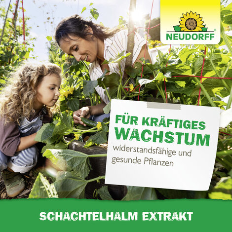 Schachtelhalm Extrakt Sprechende Bilder Bild 6