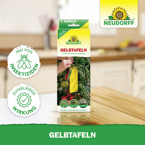 Gelbtafeln (kleinformatig) Sprechende Bilder Bild 6