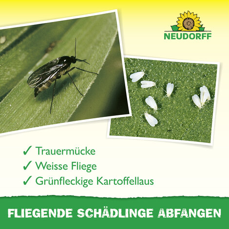 Gelb-Sticker Sprechende Bilder Bild 4