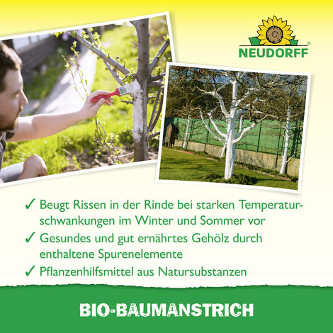 Bio-Baumanstrich Sprechende Bilder Bild 4