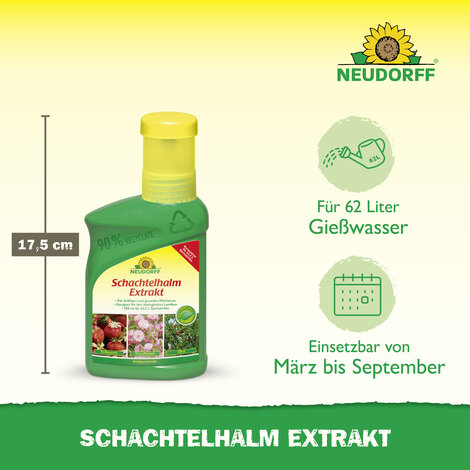 Schachtelhalm Extrakt Sprechende Bilder Bild 3