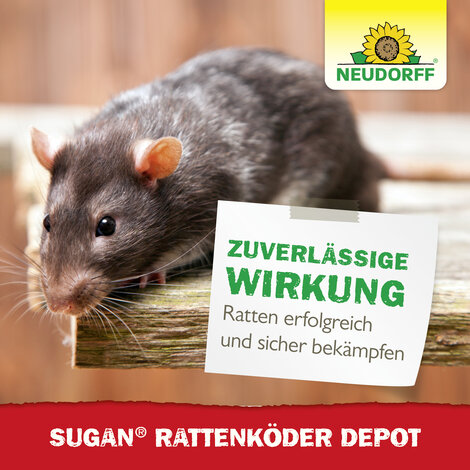 Sugan RattenKöder Depot Sprechende Bilder Bild 6