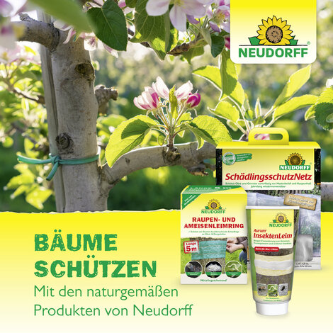 Neudomon PflaumenmadenFalle Nachfüllpack Sprechende Bilder Bild 7