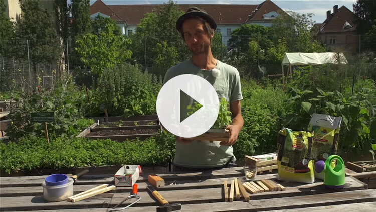 Urban gardening