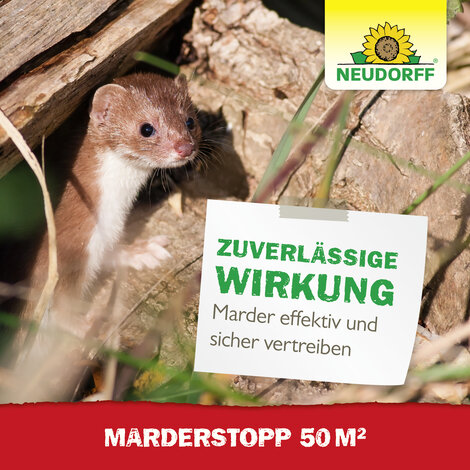 MarderStopp 50m2 Sprechende Bilder Bild 6