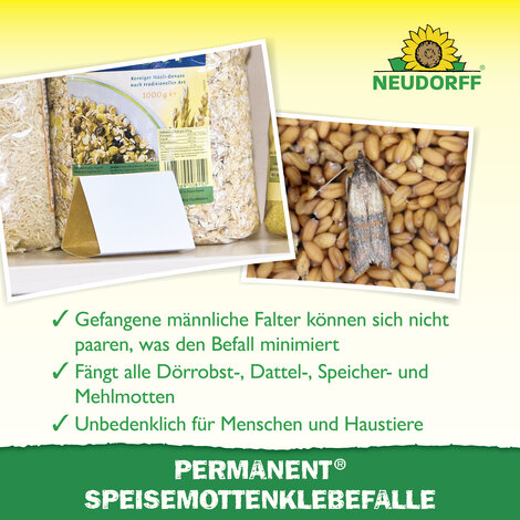 Permanent SpeisemottenKlebefalle Sprechende Bilder Bild 4