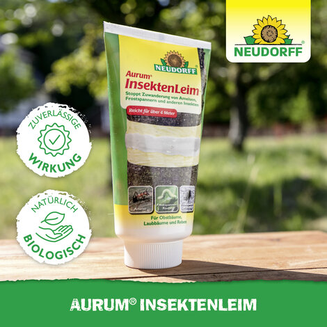 Aurum InsektenLeim Sprechende Bilder Bild 5