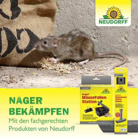 Sugan Ratten- und MäuseStopp 80m2 Sprechende Bilder Bild 7
