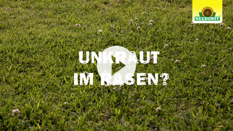 Rasendünger - Verdrängt Unkraut