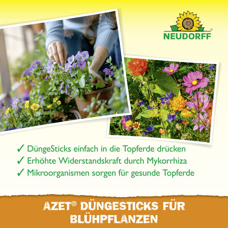 Azet Düngesticks für Blühpflanzen Sprechende Bilder Bild 4