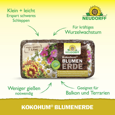 Kokohum BlumenErde Sprechende Bilder Bild 2