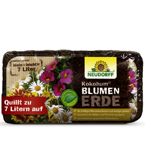 Kokohum BlumenErde Sprechende Bilder Bild 1