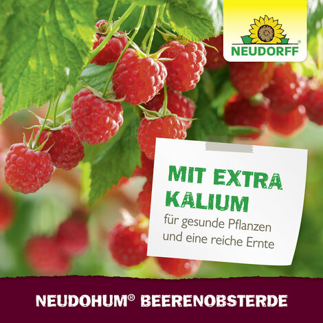 NeudoHum BeerenobstErde Sprechende Bilder Bild 7