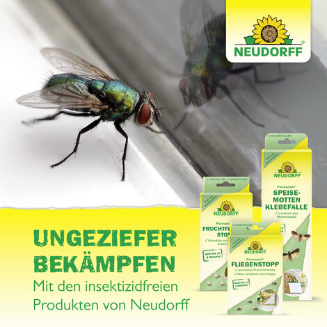 Permanent SilberfischchenStopp Sprechende Bilder Bild 8