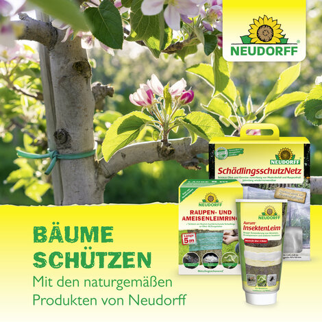 KirschmadenFalle Sprechende Bilder Bild 7