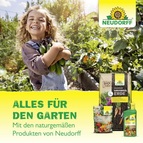 Azet Vegane Hornspäne Sprechende Bilder Bild 8