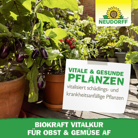 Neudorff BioKraft Vitalkur für Obst & Gemüse AF Sprechende Bilder Bild 6