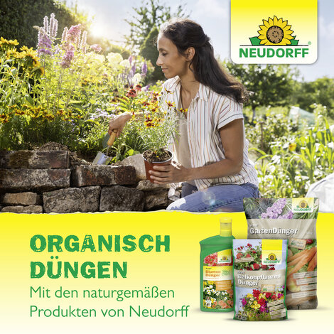 Azet RosenDünger flüssig Sprechende Bilder Bild 8