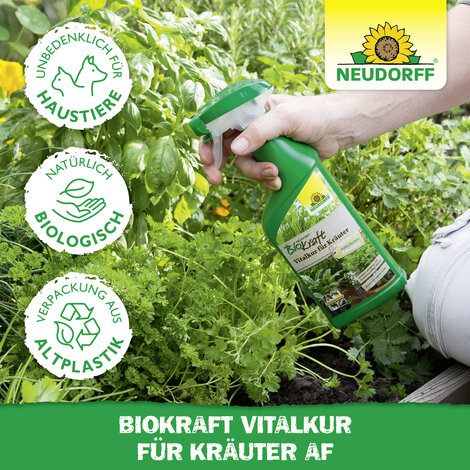 Neudorff BioKraft Vitalkur für Kräuter AF Sprechende Bilder Bild 5