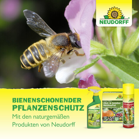 Neudorff BioKraft Vitalkur für Orchideen AF Sprechende Bilder Bild 7
