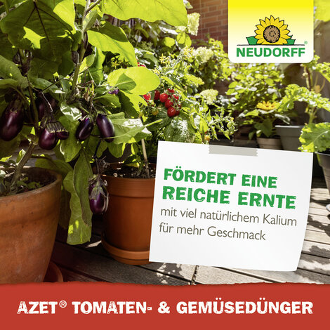 Azet Tomaten- & GemüseDünger flüssig Sprechende Bilder Bild 7