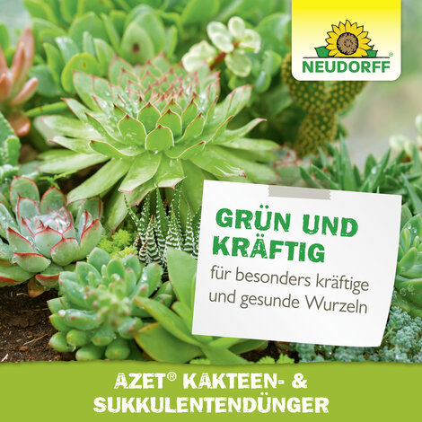 Azet Kakteen- & SukkulentenDünger flüssig Sprechende Bilder Bild 7