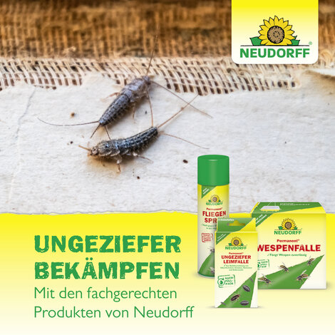 Permanent FliegenköderStreifen Sprechende Bilder Bild 7