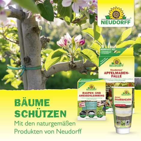 Neudomon ApfelmadenFalle Nachfüllpack Sprechende Bilder Bild 7
