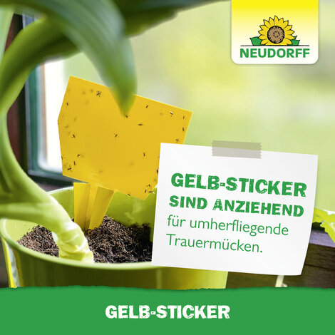 Gelb-Sticker Sprechende Bilder Bild 5
