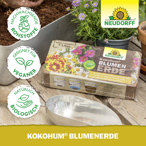 Kokohum BlumenErde Sprechende Bilder Bild 5