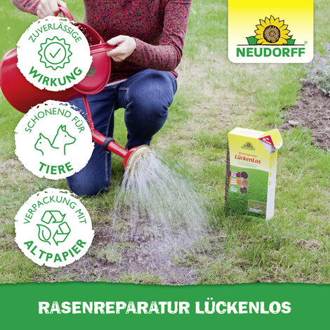 Rasenreparatur LückenLos Sprechende Bilder Bild 6