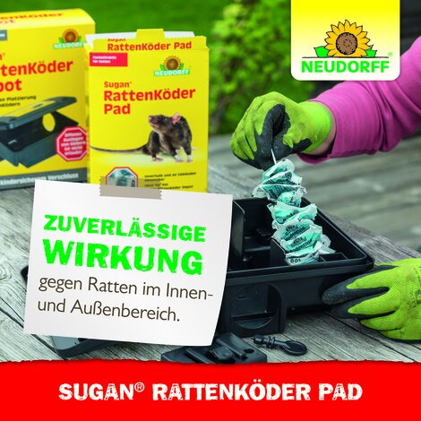 Sugan RattenKöder Pad Sprechende Bilder Bild 6
