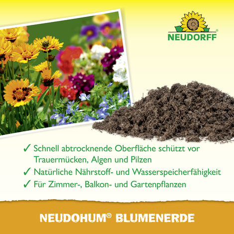 NeudoHum BlumenErde Sprechende Bilder Bild 4