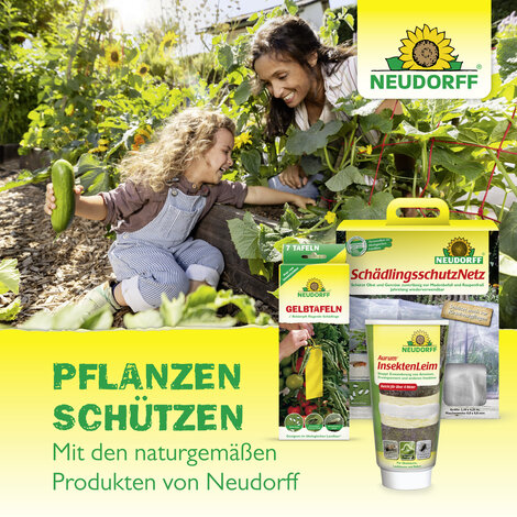 Raupen- und AmeisenLeimring Sprechende Bilder Bild 7
