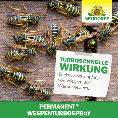 Permanent WespenTURBOSpray Sprechende Bilder Bild 6