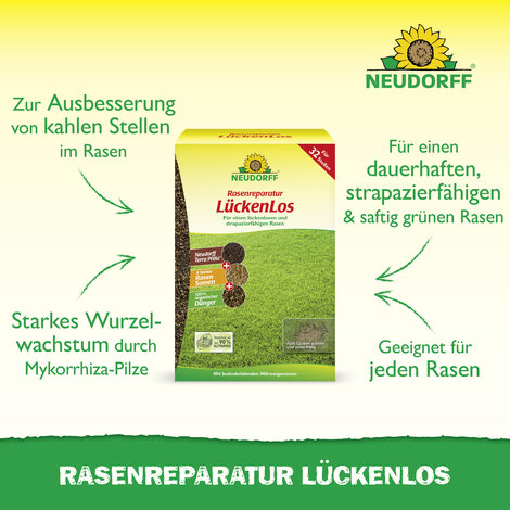 Rasenreparatur LückenLos Sprechende Bilder Bild 2