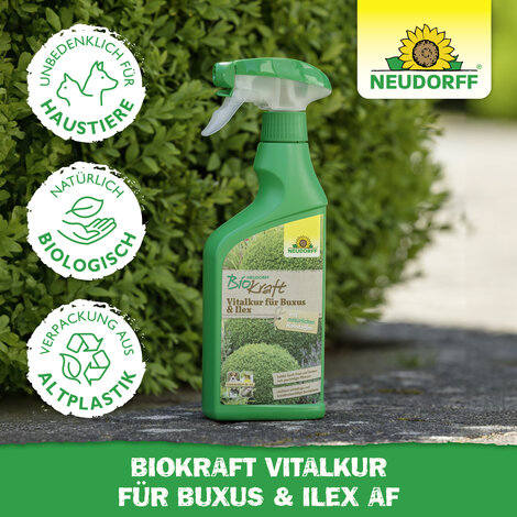 Neudorff BioKraft Vitalkur für Buxus & Ilex AF Sprechende Bilder Bild 5
