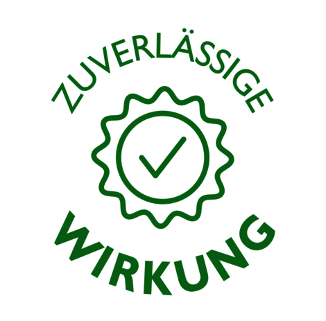 Logo RGB PNG