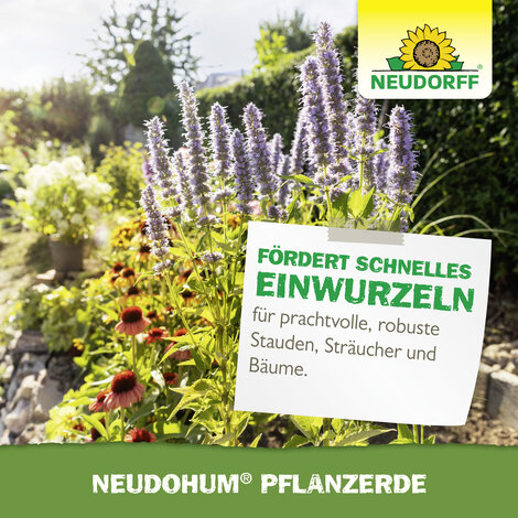 NeudoHum PflanzErde Sprechende Bilder Bild 7