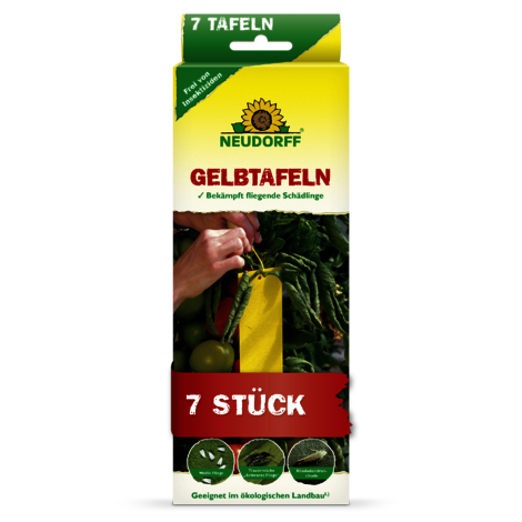 Gelbtafeln (kleinformatig) Sprechende Bilder Bild 1