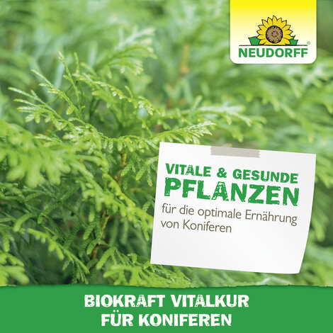 Neudorff BioKraft Vitalkur für Koniferen Sprechende Bilder Bild 6