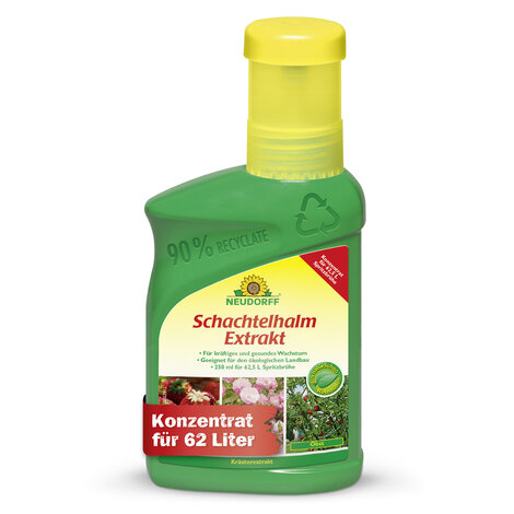 Schachtelhalm Extrakt Sprechende Bilder Bild 1