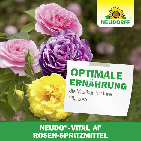 Neudo-Vital AF Rosen-Spritzmittel Sprechende Bilder Bild 6