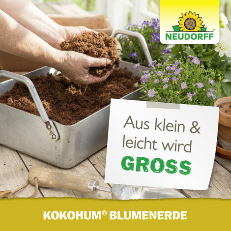Kokohum BlumenErde Sprechende Bilder Bild 6