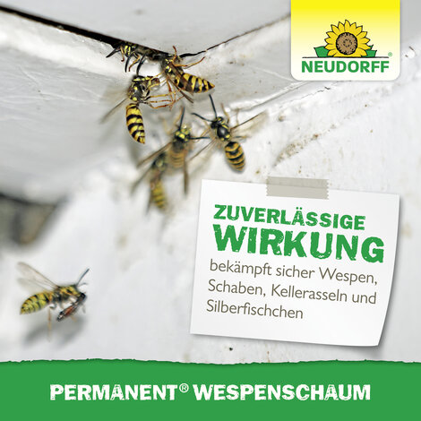 Permanent WespenSchaum Sprechende Bilder Bild 6