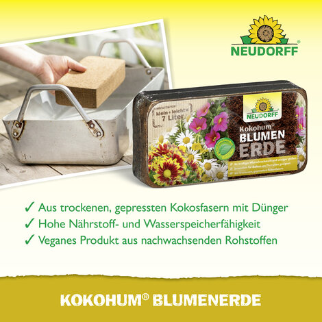 Kokohum BlumenErde Sprechende Bilder Bild 4
