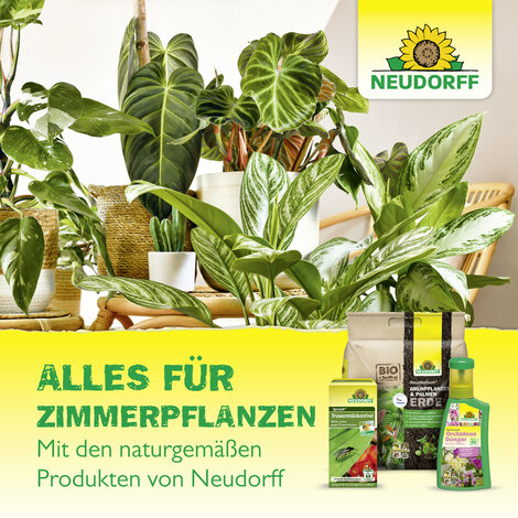 Gelb-Sticker Sprechende Bilder Bild 8