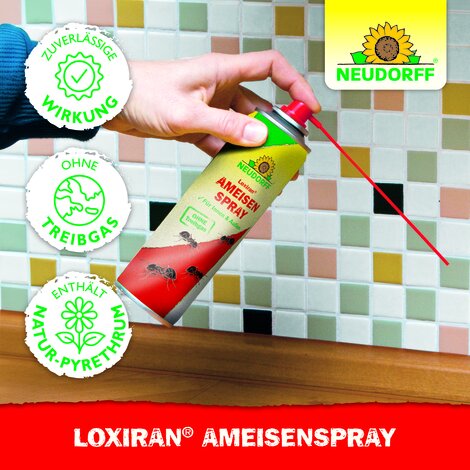 Loxiran AmeisenSpray Sprechende Bilder Bild 5